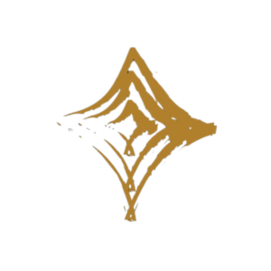 Express Bus - logo Hotel Tesoro
