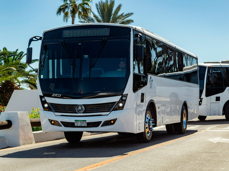 Express Bus - vehículo Sigma MB
